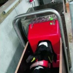 Kälbergetränkeautomat