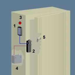 Fallenverschlüsse - ein ausgereiftes System Fallenverschlüsse - ein ausgereiftes System